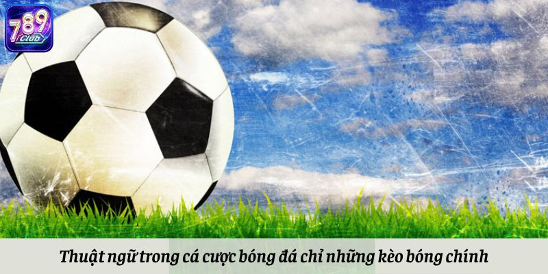 Thuật ngữ trong cá cược bóng đá chỉ những kèo bóng chính