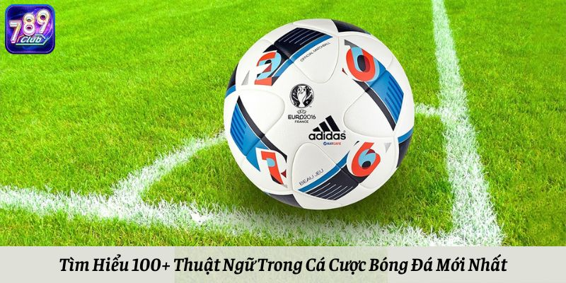 Tìm Hiểu 100+ Thuật Ngữ Trong Cá Cược Bóng Đá Mới Nhất