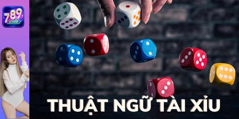 thuật ngữ tài xỉu là gì