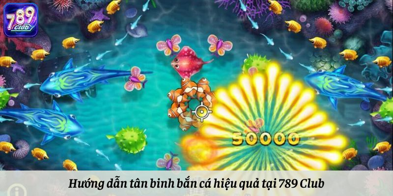 Hướng dẫn tân binh bắn cá hiệu quả tại 789 Club