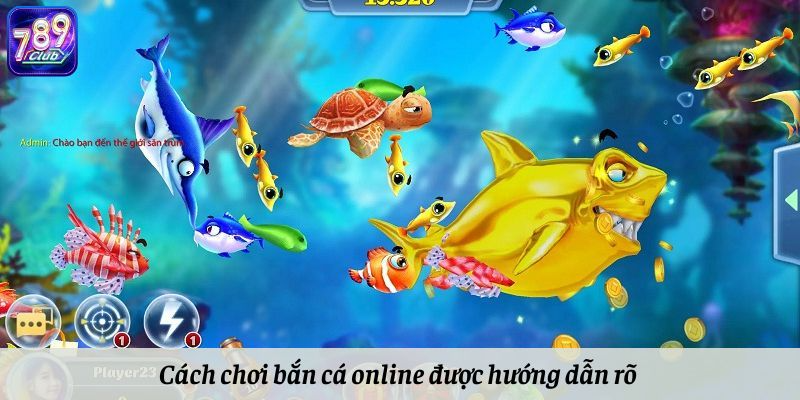 Cách chơi bắn cá online được hướng dẫn rõ ràng