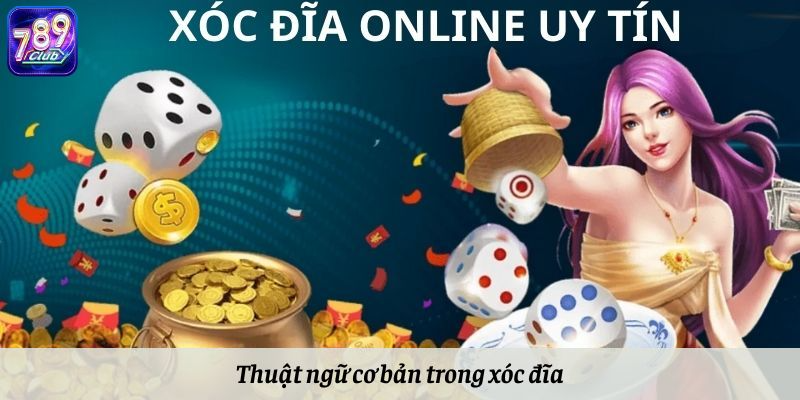 Thuật ngữ cơ bản trong xóc đĩa