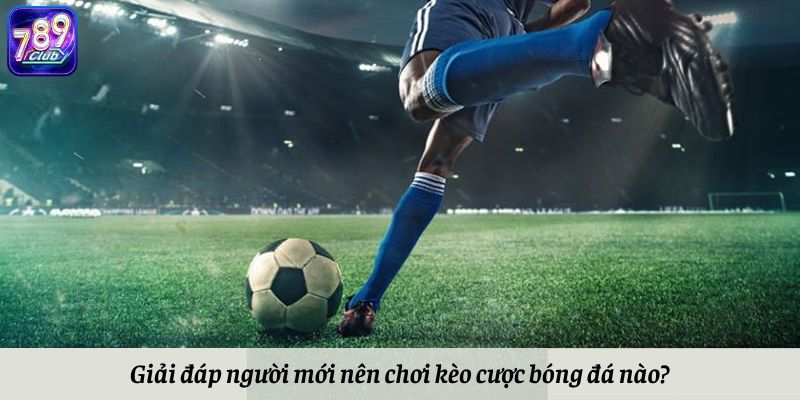 Giải đáp người mới nên chơi kèo cược bóng đá nào?