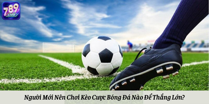 Người Mới Nên Chơi Kèo Cược Bóng Đá Nào Để Thắng Lớn?