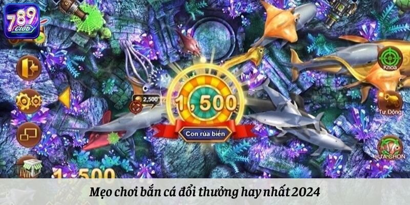 Mẹo chơi bắn cá đổi thưởng hay nhất 2024