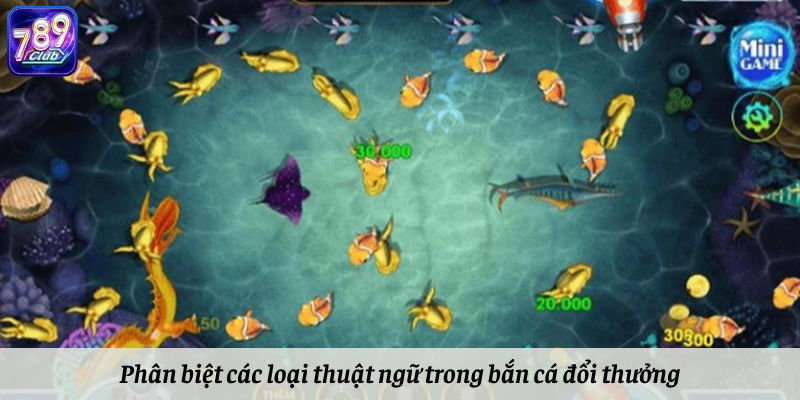 Phân biệt các loại thuật ngữ trong bắn cá đổi thưởng