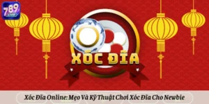 Xóc Đĩa Online: Mẹo Và Kỹ Thuật Chơi Xóc Đĩa Cho Newbie