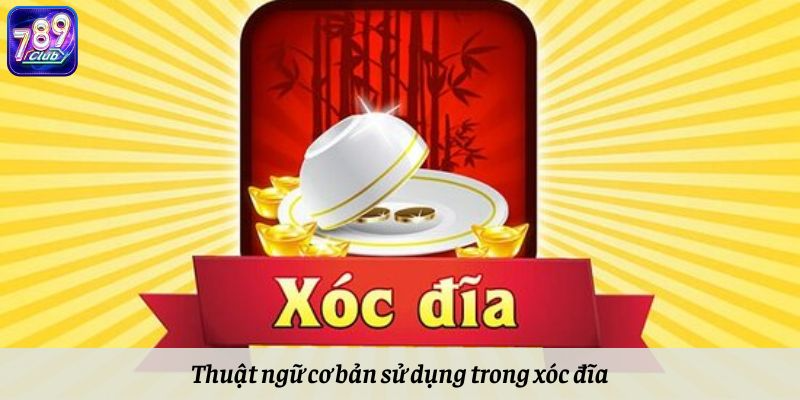 Thuật ngữ cơ bản sử dụng trong xóc đĩa