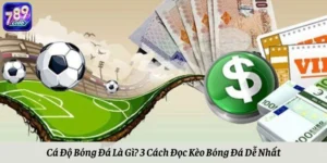 Cá Độ Bóng Đá Là Gì? 3 Cách Đọc Kèo Bóng Đá Dễ Nhất