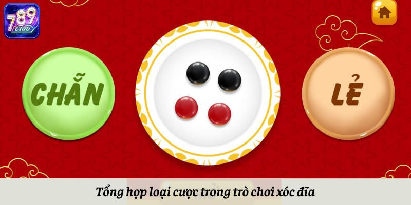 Tổng hợp loại cược trong trò chơi xóc đĩa