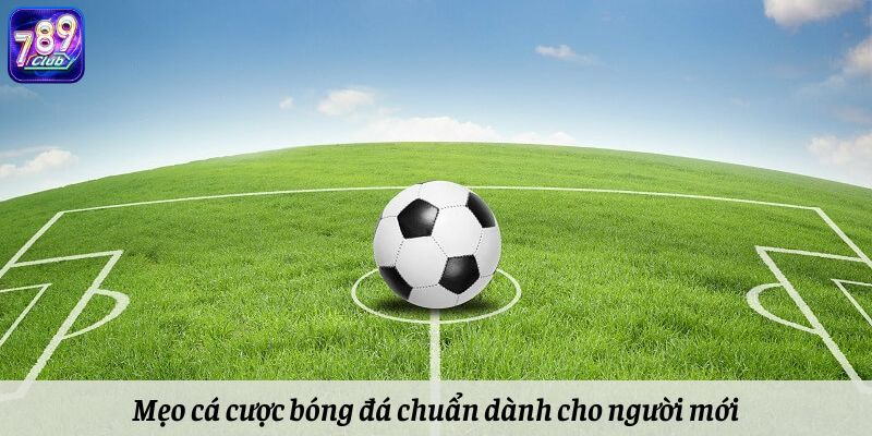 Mẹo cược bóng đá chuẩn dành cho người mới