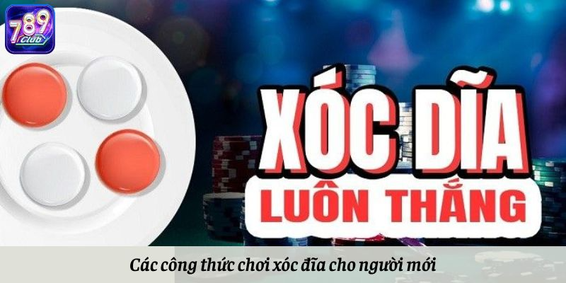 Các công thức chơi xóc đĩa luôn thắng cho người mới